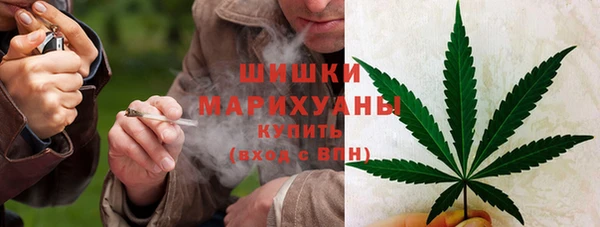 2c-b Горнозаводск