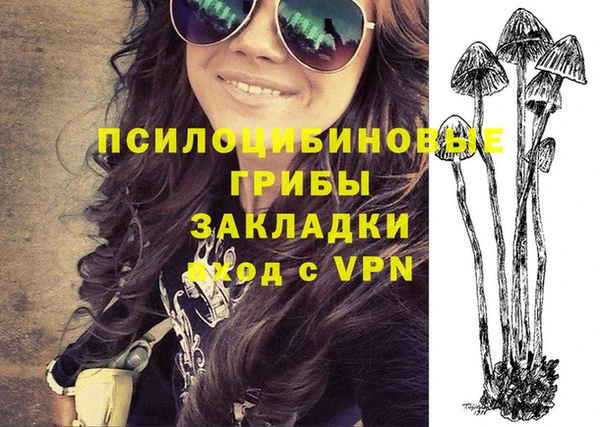 гашик Дмитриев