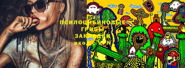 дмт Горно-Алтайск