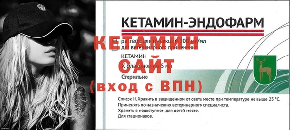 каннабис Ессентукская