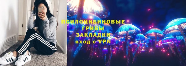 2c-b Горнозаводск